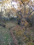 PB150122.JPG