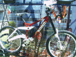 kona stab deluxe.gif