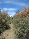 IMG_3233.JPG