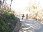 IMG_3253.JPG