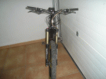 DSC00884.gif