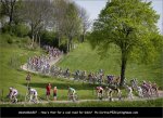amstel07-curvaceous.jpg