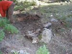 DSCN2327.jpg
