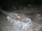 DSCN2338.jpg