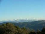 DSCN2328.jpg