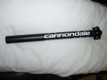 TIJA CANNONDALE (1).jpg