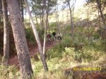 IMG_0369.jpg