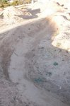 DSC_1619.jpg