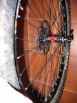 Trek 005.jpg