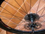 Trek 006.jpg
