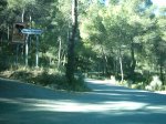 Rabosa 15-11-08 012.jpg