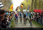 rbx08-arenberg.jpg