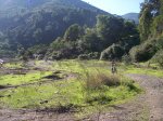 MTB TOLOX JR 2008 019.jpg