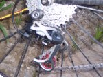 DEAN EVO 3 005.jpg