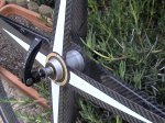 DSC00800.jpg