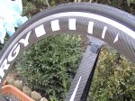 DSC00799.jpg