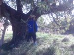 Imagen060.jpg