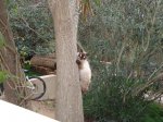 DSC00787.jpg