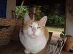 DSC00792.jpg