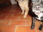 DSC00902.jpg