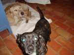 DSC00903.jpg