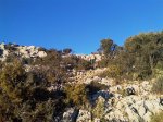 IMAG0101.jpg