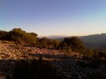 IMAG0103.jpg