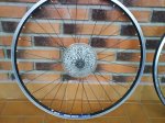 DSC01535.jpg