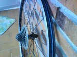 DSC01540.jpg