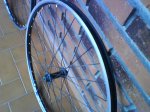 DSC01541.jpg