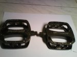 DSC01554.jpg