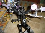 DSC06303.jpg