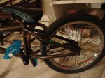 DSC00390.jpg