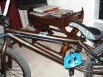 DSC00392.jpg