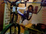 DSC00329.jpg