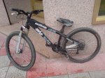 DSC00207.jpg
