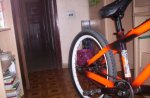 100_0508.jpg