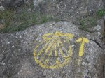 IMG_7920.JPG