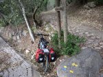 IMG_7951.JPG