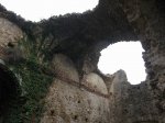 IMG_8009.JPG