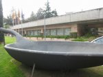 IMG_8016.JPG