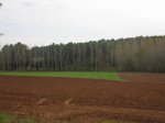IMG_8025.JPG