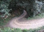 IMG_8030.JPG