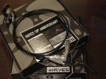 hayes1.jpg