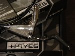 hayes2.jpg