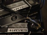 hayes3.jpg