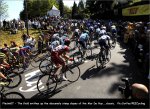 fleche07-fieldhuy.jpg