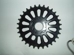 PB200528.jpg