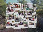 collage1.jpg