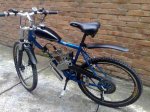 bicimotor1.jpg